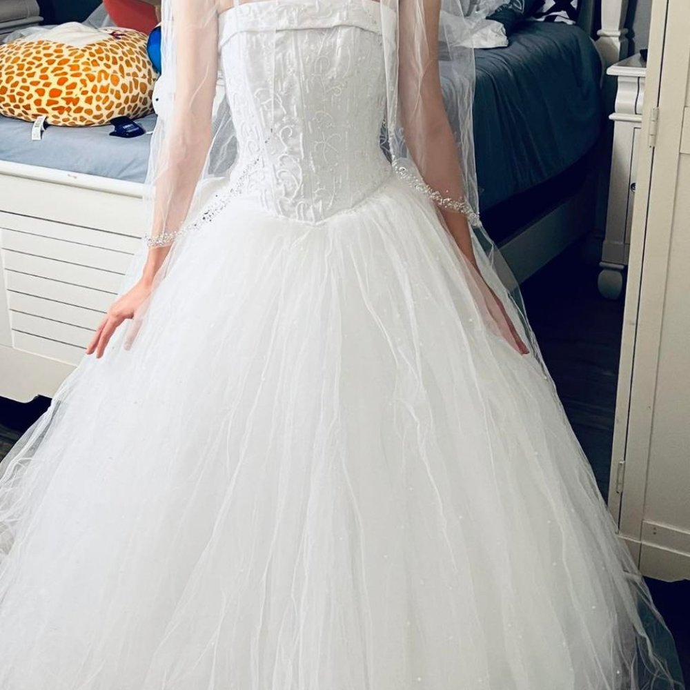 Brand New Wedding Dress from David's Bridal  and Accessories-  Sz 4